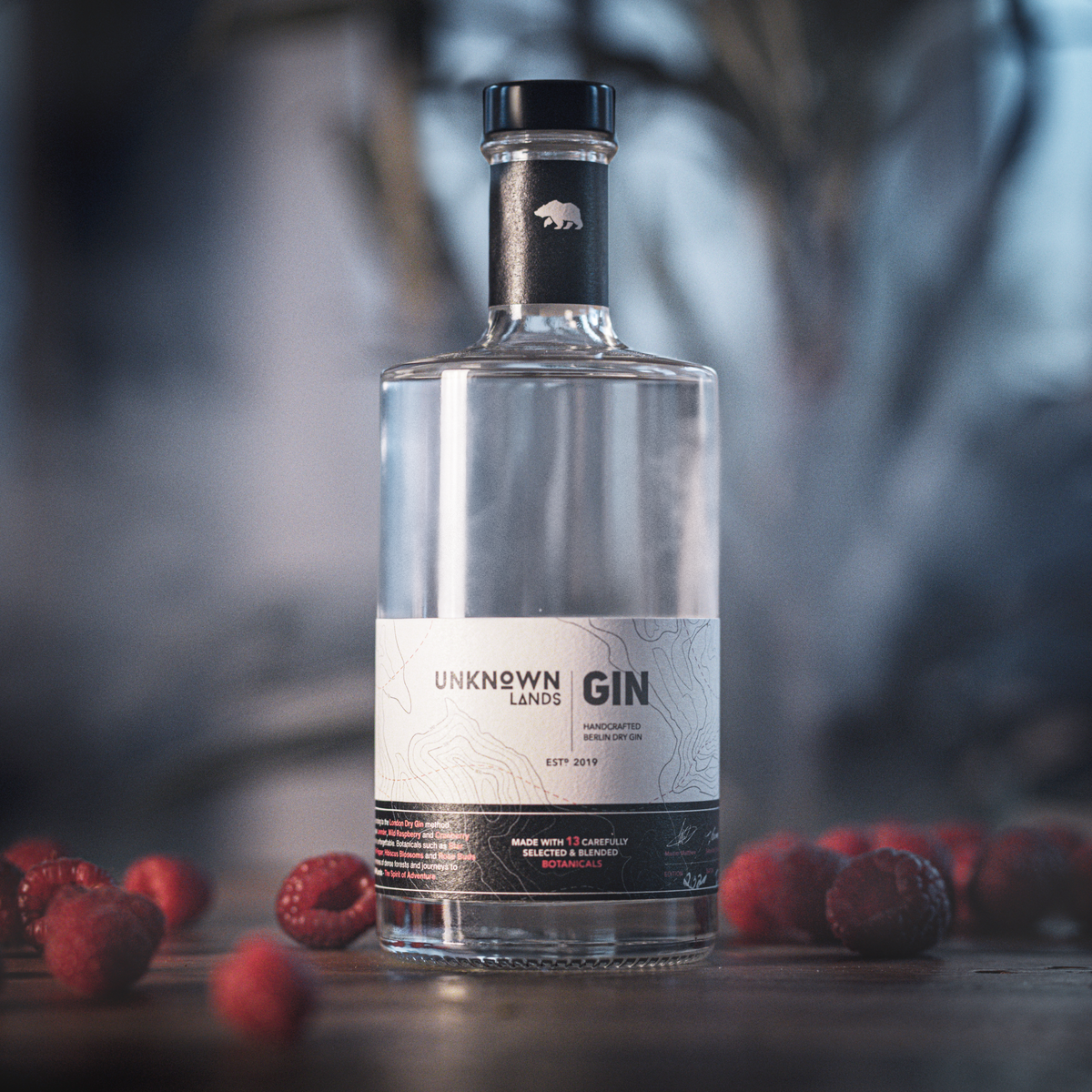 ECC-Box 06/2021 - UNKNOWN Lands | Gin