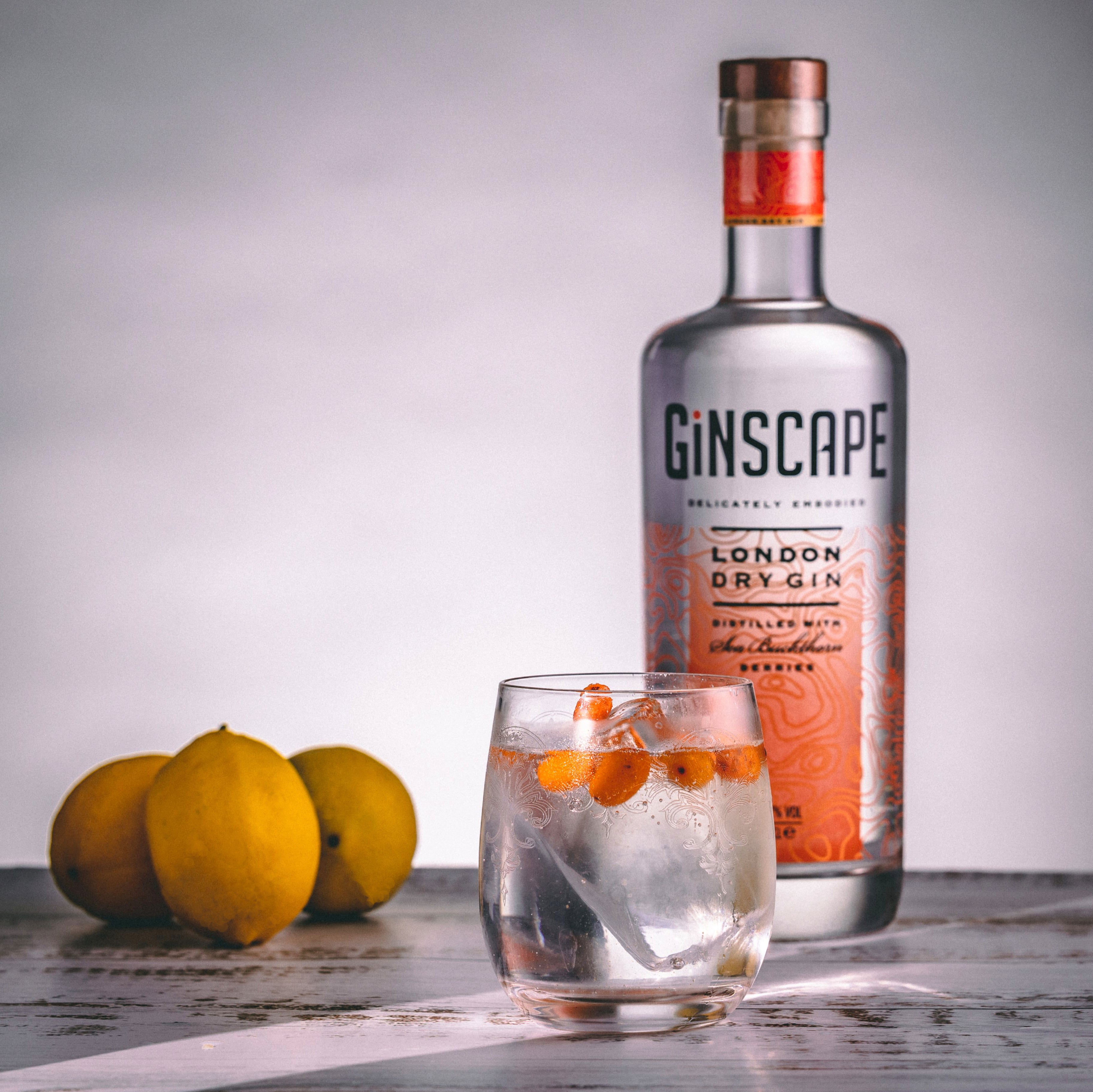 Ginscape London Dry Gin (Dänemark)