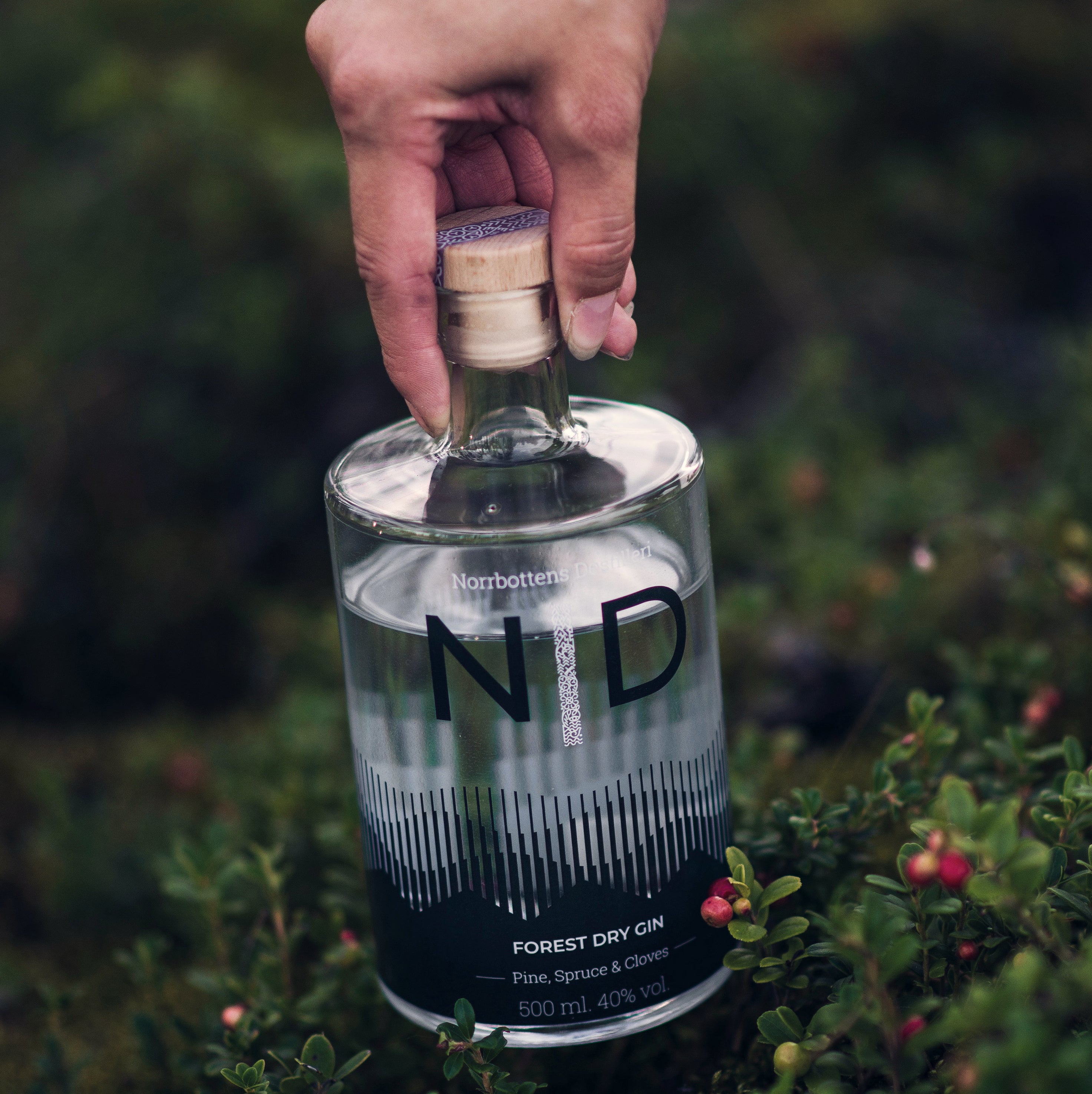 N|D Forest Dry Gin (Schweden)